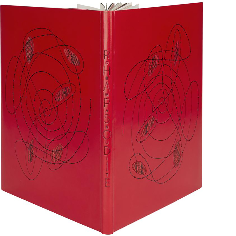 KAREL APPEL- Rhapsodie de ma nuit