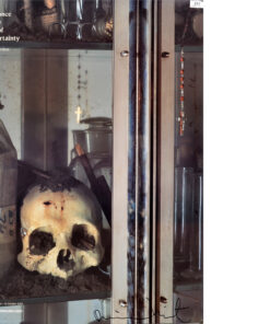 LITHOGRAPH DAMIEN HIRST - Romance in the Age of Uncertainty I