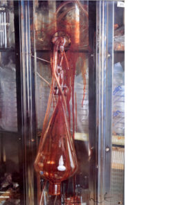 LITHOGRAPH DAMIEN HIRST - Romance in the Age of Uncertainty II